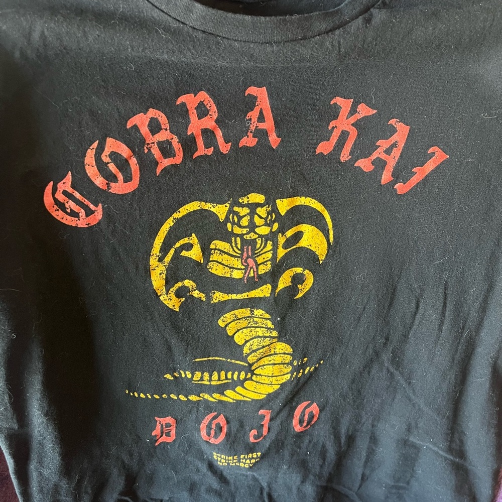 Cobra Kai Dojo Black T-Shirt